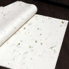 Xuan plant fibre 29,7x21cm